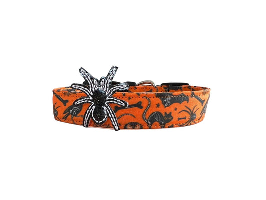 Halloween dog collar with x-ray designs of bats, owls, rats, ravens, and crossbones, shown with a shimmery black removable spider embellishment.