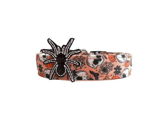Halloween-themed dog collar with spider design on a white background
