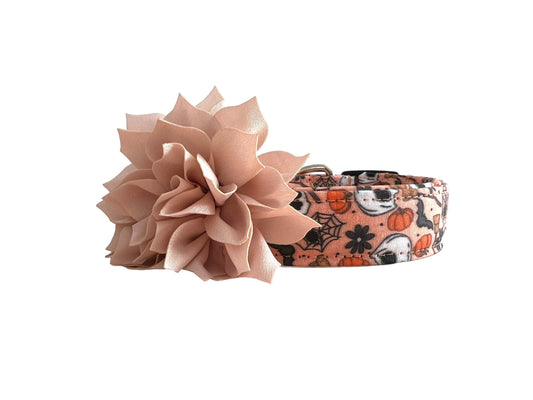 Halloween Dog Collar, Spider Dog Collar, Skull Dog Collar with Dog Collar Flower, Trick or Treat Dog Collar, Pumpkin Dog Collar, Bat Collar