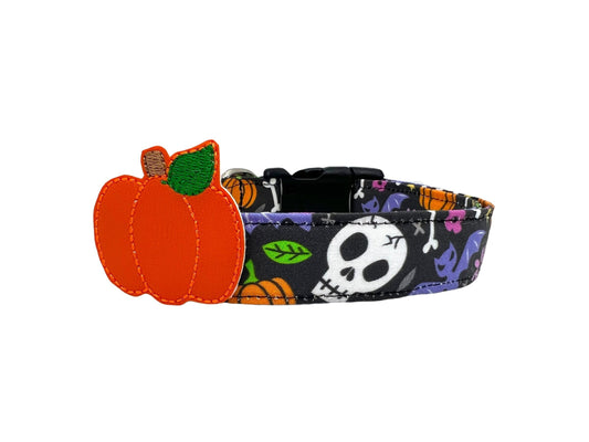 Halloween Skull Dog Collar with Jack O Lantern Pumpkin Dog Collar Embellishment
