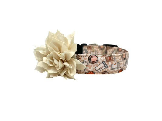 Pumpkin Spice Latte Dog Collar with Flower