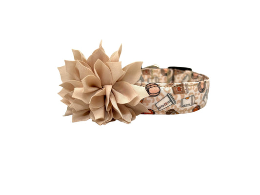 Pumpkin Spice Latte Dog Collar with Flower