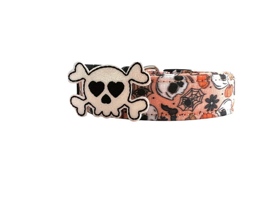 Halloween Dog Collar, Spider Dog Collar, Skull Dog Collar, Fall Dog Collar, Trick or Treat Dog Collar, Pumpkin Dog Collar, Bat Dog Collar