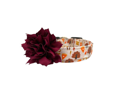 Thanksgiving Pilgrim Dog Collar with Flower