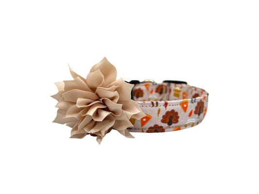 Thanksgiving Pilgrim Dog Collar with Flower