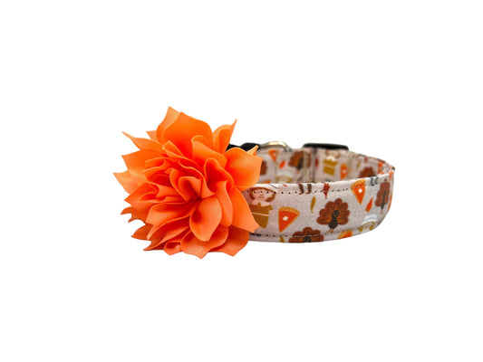 Thanksgiving Pilgrim Dog Collar with Flower