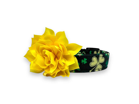 St. Patrick's Day Dog Collar With Flower