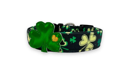 St. Patrick's Day Dog Collar with Lucky Shamrock Embellishment
