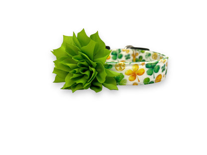St. Patrick's Day Dog Collar with Dog Collar Flower