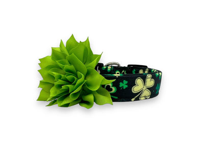 St. Patrick's Day Dog Collar With Flower