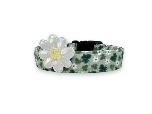 St. Patrick's Day Clover Dog Collar with Embellishment