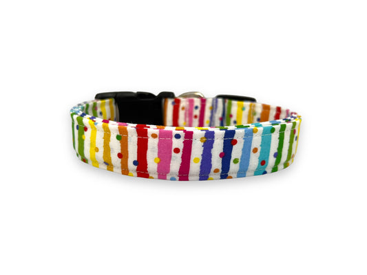 Rainbow Stripe Confetti Dog Collar