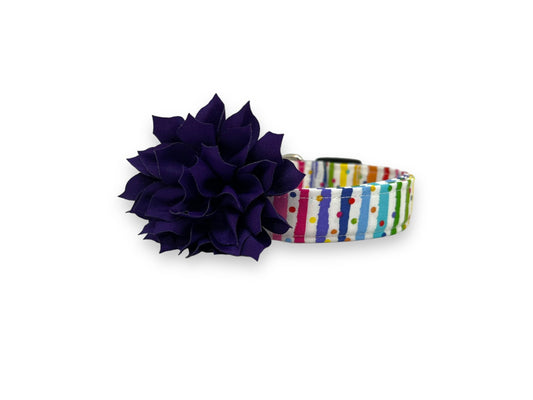 Rainbow Stripe Confetti Dog Collar with Flower