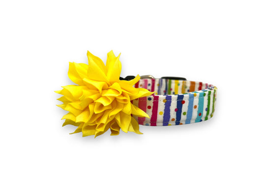 Rainbow Stripe Confetti Dog Collar with Flower