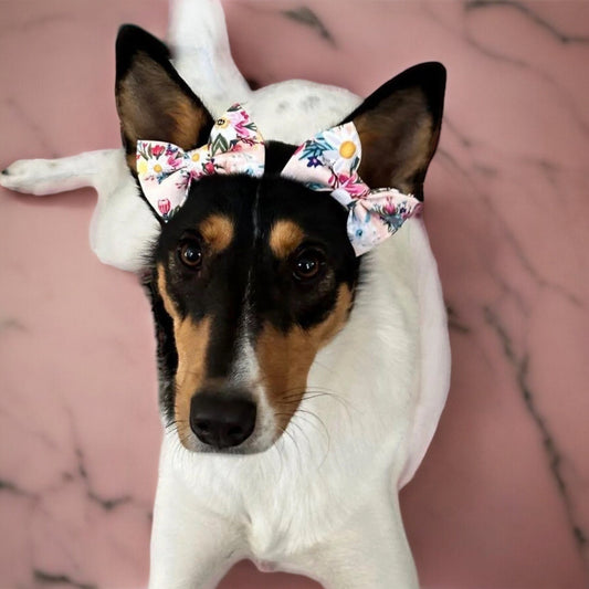 Blush Bouquet Dog Bow Headband