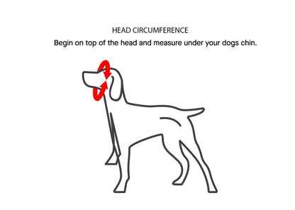 Valentine's Day Dog Bow Headband
