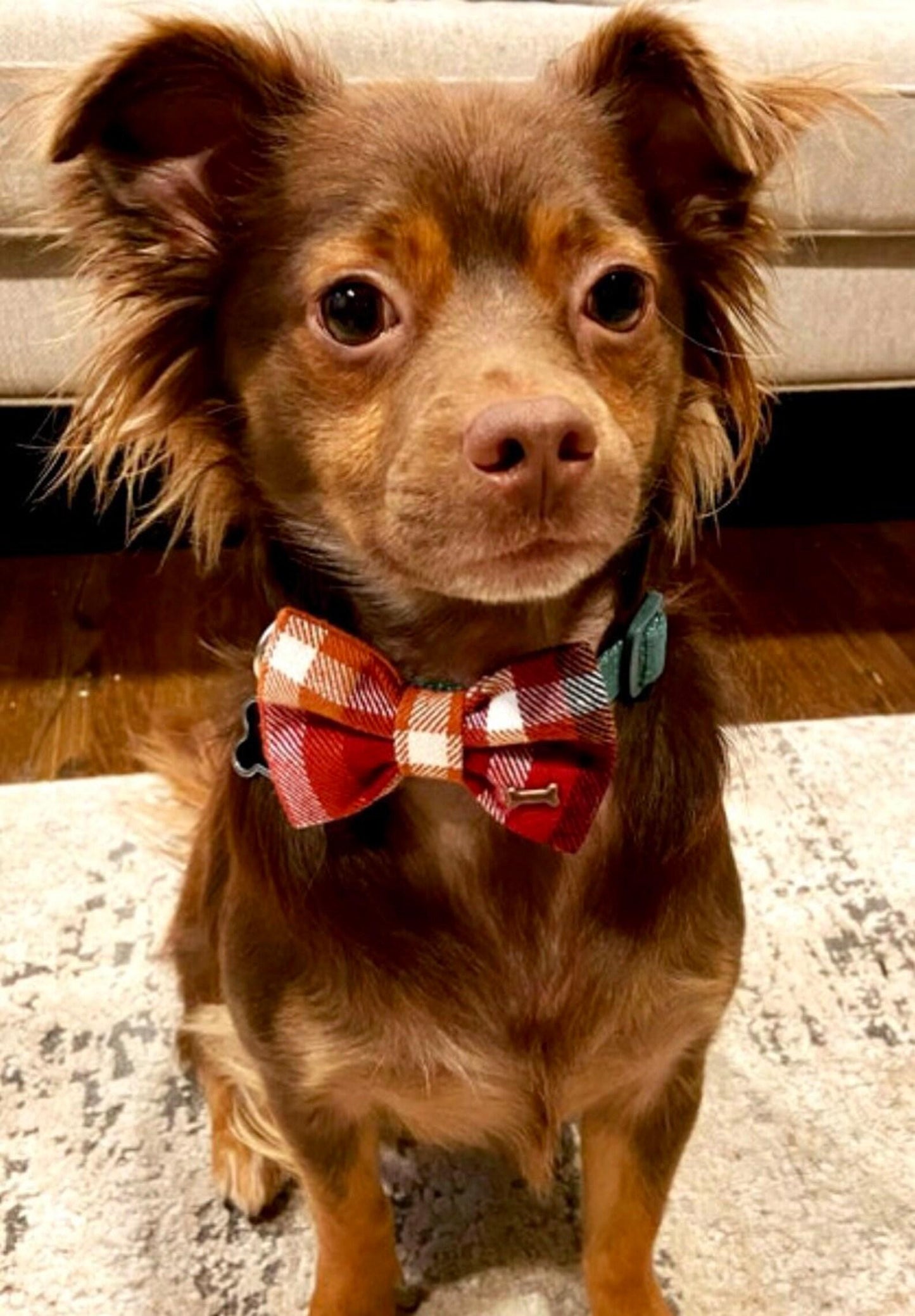 Fall Flannel Bow Tie