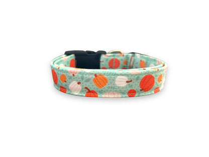 Aqua Pumpkin Dog Collar with Flower