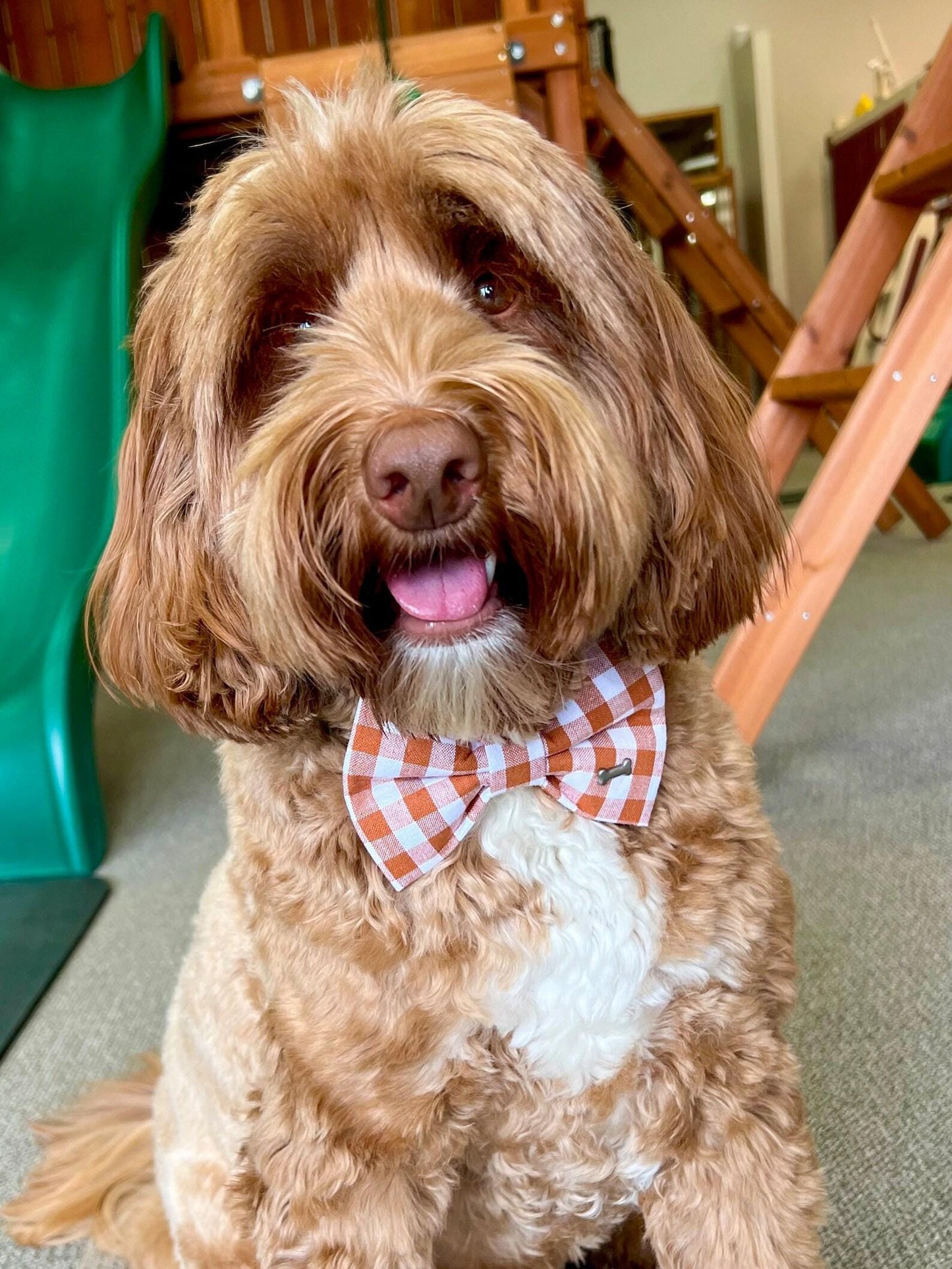Fall Flannel Plaid Bow Tie