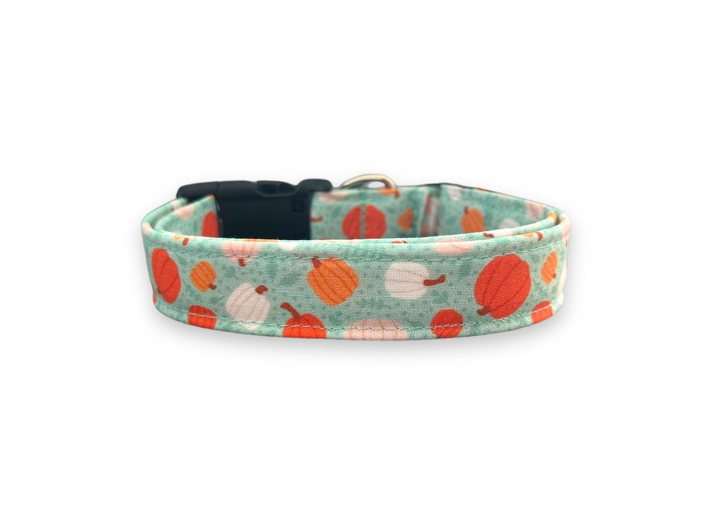 Brighten up spooky season with this aqua Halloween dog collar featuring pink, white, and orange pumpkins.