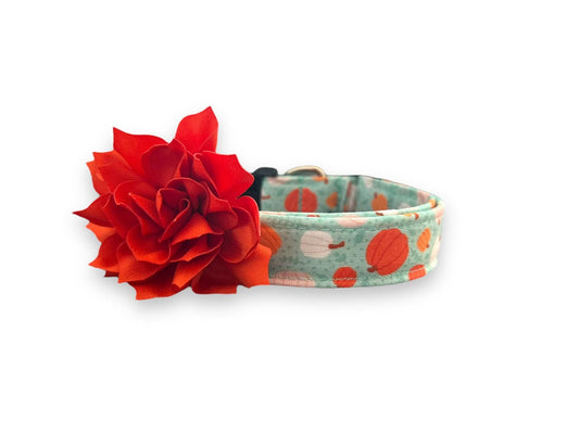 Brighten up spooky season with this aqua Halloween dog collar featuring pink, white, and orange pumpkins. Includes a removable 3" or 4" flower in your choice of color.