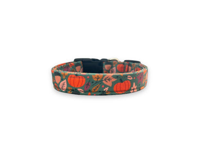 Teal Pumpkin Dog Collar with Embellishment