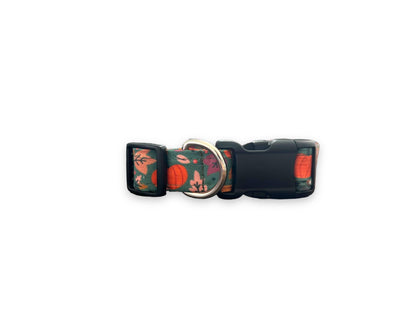 Teal Pumpkin Dog Collar with Collar Flower