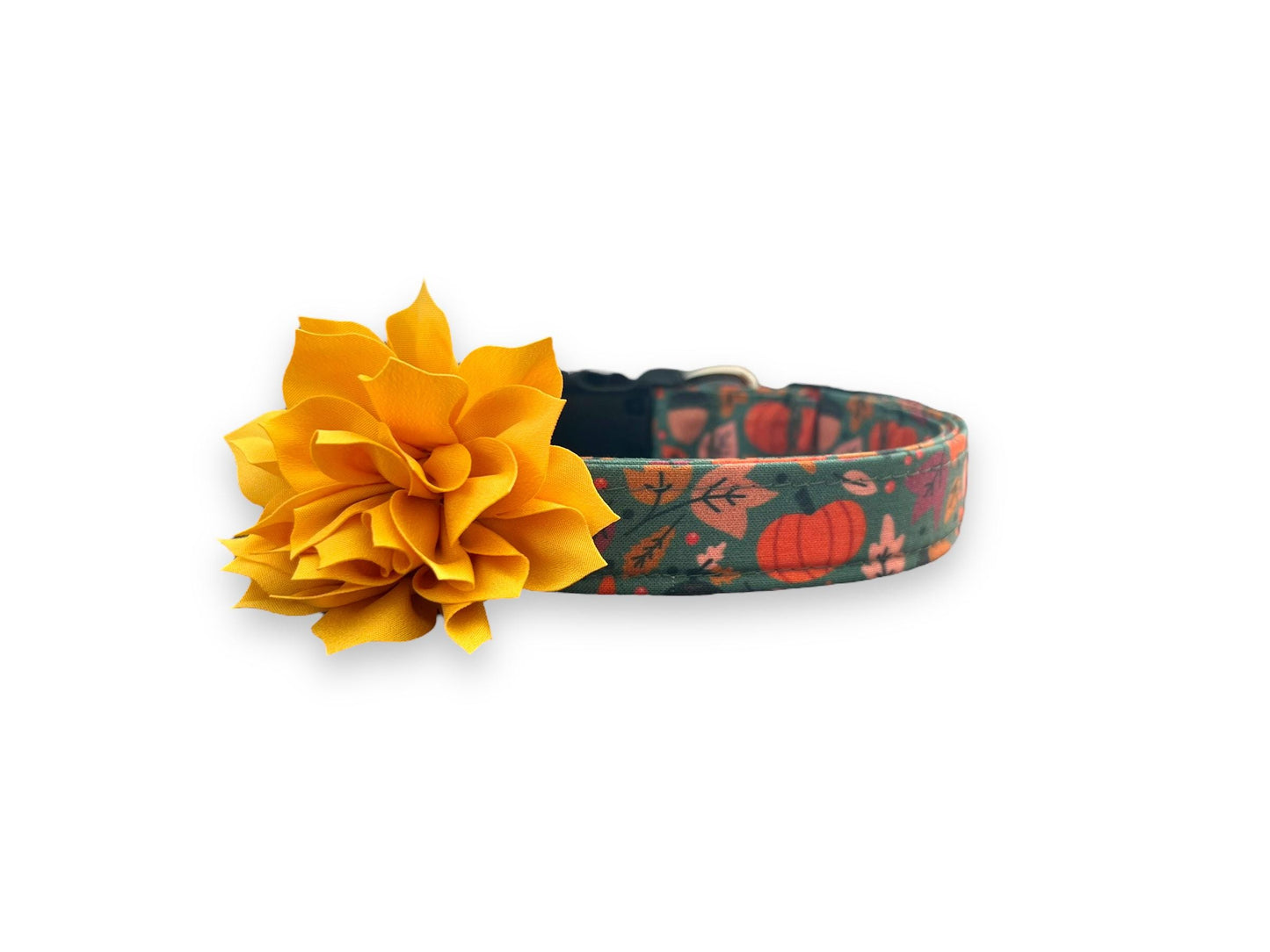 Teal Pumpkin Dog Collar with Collar Flower