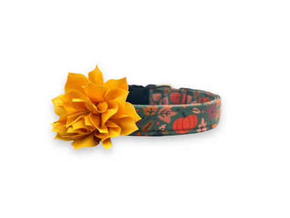 Teal Pumpkin Dog Collar with Collar Flower