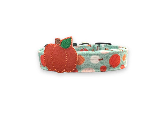 Halloween Dog Collar, Pumpkin Dog Collar with Embellishment, Aqua Pumpkin Dog Collar, Collar for Halloween, Halloween Collar, Halloween Dog