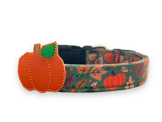 Teal Pumpkin Dog Collar with Embellishment