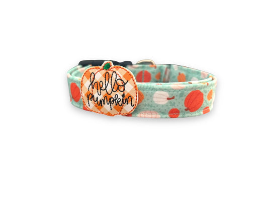 Halloween Dog Collar, Pumpkin Dog Collar with Embellishment, Aqua Pumpkin Dog Collar, Collar for Halloween, Halloween Collar, Halloween Dog