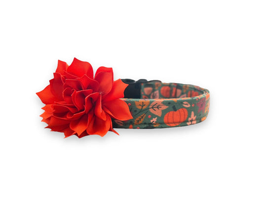 Teal Pumpkin Dog Collar with Collar Flower