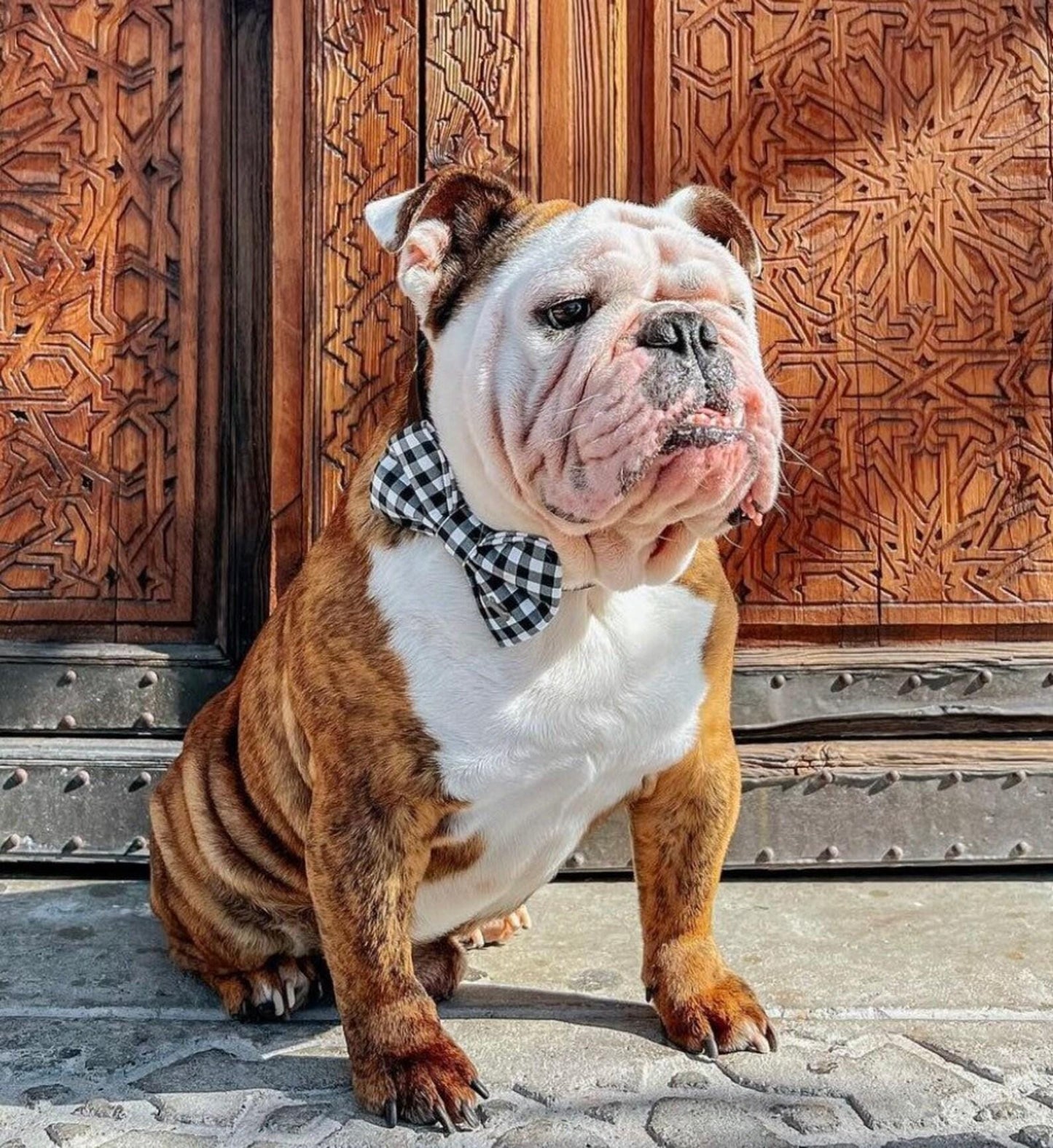 Black & White Plaid Dog Bow Tie