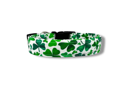 St. Patrick's Day Shamrock Dog Collar with Embellishment