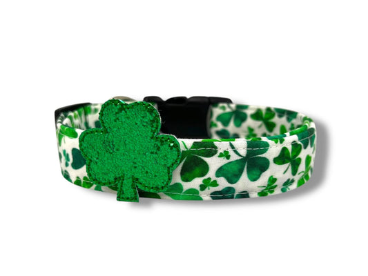 St. Patrick's Day Shamrock Dog Collar with Embellishment