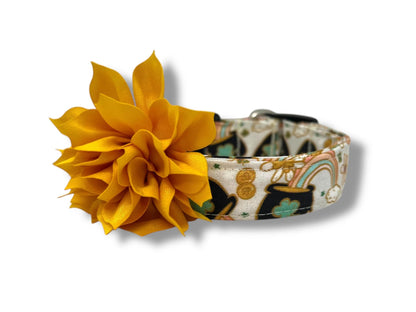St. Patrick's Day Pot of Gold Dog Collar with Flower
