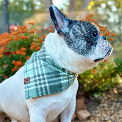 Sage Plaid Dog Bandana