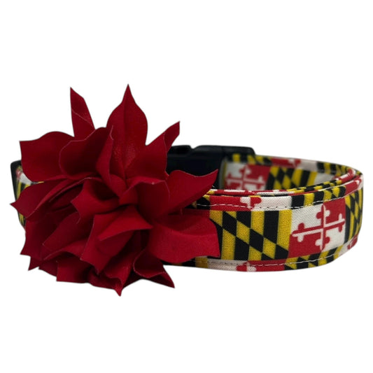 Dog collar featuring the Maryland state flag pattern with bold red, white, black, and gold elements, accented with a red dog collar flower, displayed flat on a white background.