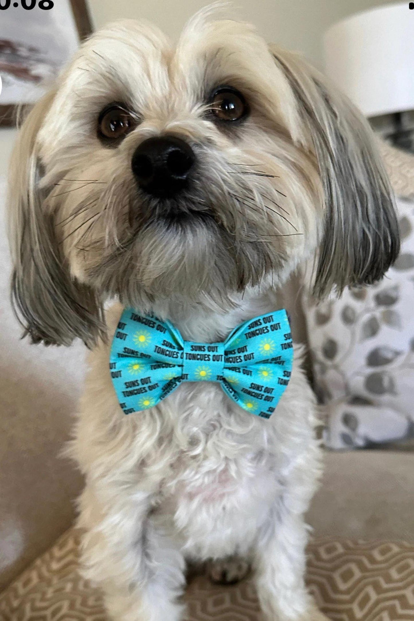 Dog Bow Tie, Bow Tie for Dog, Suns Out, Tongues Out Dog Bow Tie, Doggie Bow Tie, Blue Dog Bow Tie, Dog Collar Accessory, Funny Bow Tie