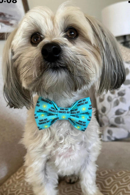 Dog Bow Tie, Bow Tie for Dog, Suns Out, Tongues Out Dog Bow Tie, Doggie Bow Tie, Blue Dog Bow Tie, Dog Collar Accessory, Funny Bow Tie