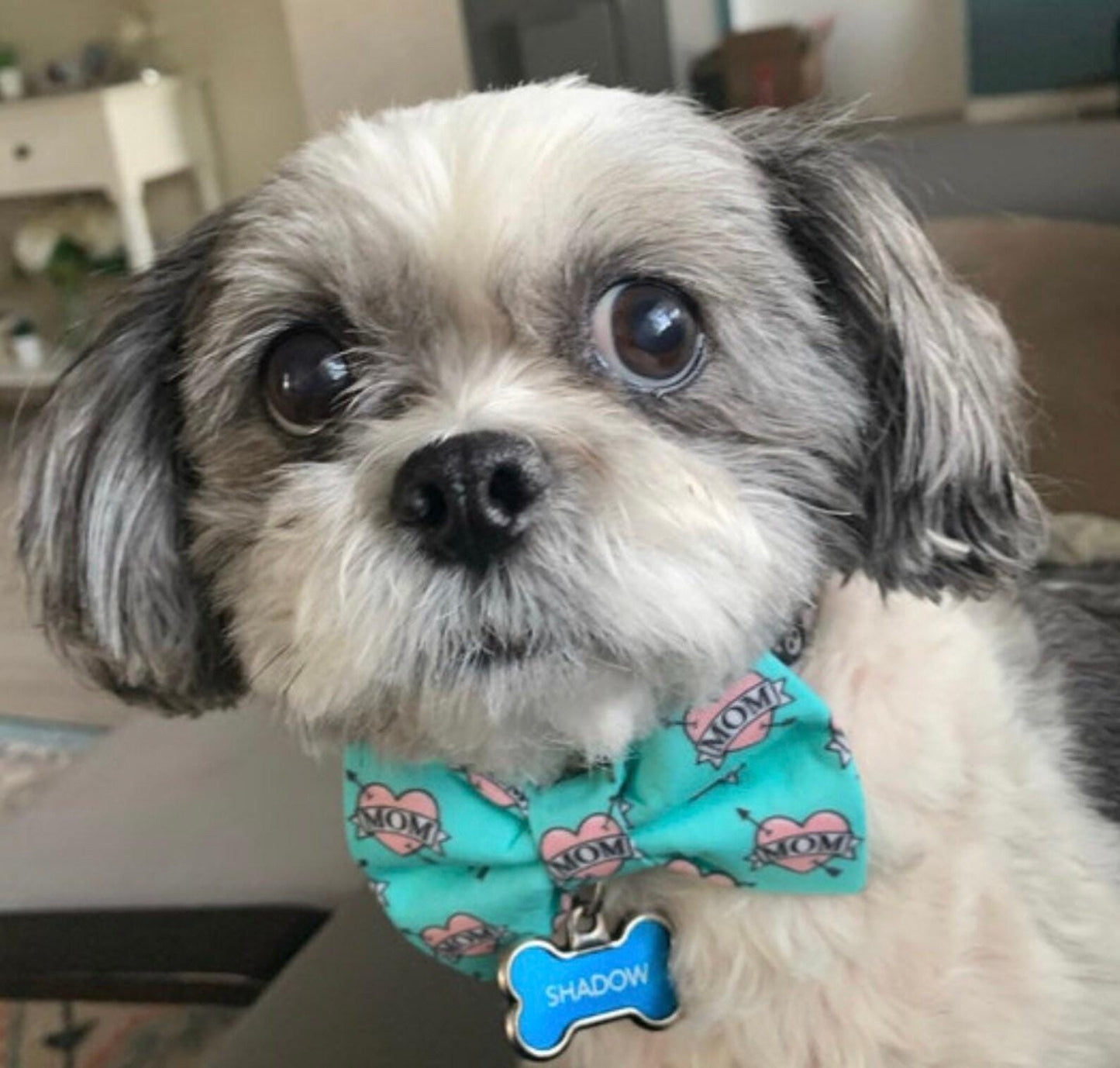 Dog Bow Tie, Bow Tie for Dog, Mom Dog Bow Tie, Doggie Bow Tie, Teal Dog Bow Tie, Dog Collar Accessory, Dog Mom Bow Tie