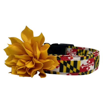 Dog collar featuring the Maryland state flag pattern with bold red, white, black, and gold elements, accented with a golden yellow dog collar flower, displayed flat on a white background.
