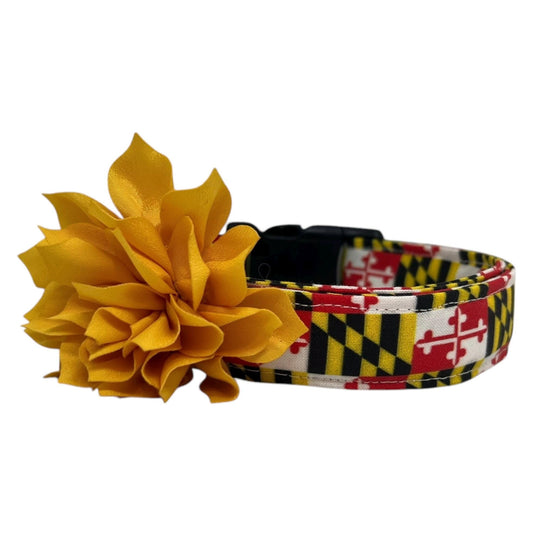 Dog collar featuring the Maryland state flag pattern with bold red, white, black, and gold elements, accented with a golden yellow dog collar flower, displayed flat on a white background.