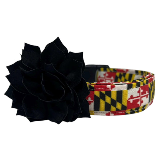 Dog collar featuring the Maryland state flag pattern with bold red, white, black, and gold elements, accented with a black dog collar flower, displayed flat on a white background.