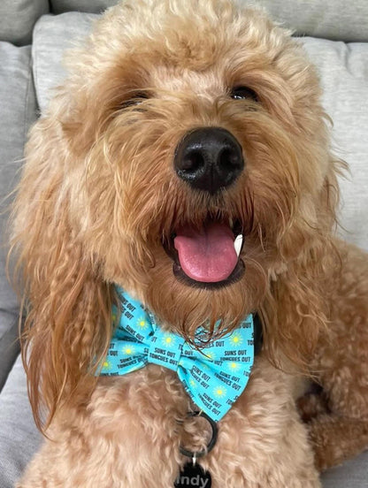 Dog Bow Tie, Bow Tie for Dog, Suns Out, Tongues Out Dog Bow Tie, Doggie Bow Tie, Blue Dog Bow Tie, Dog Collar Accessory, Funny Bow Tie