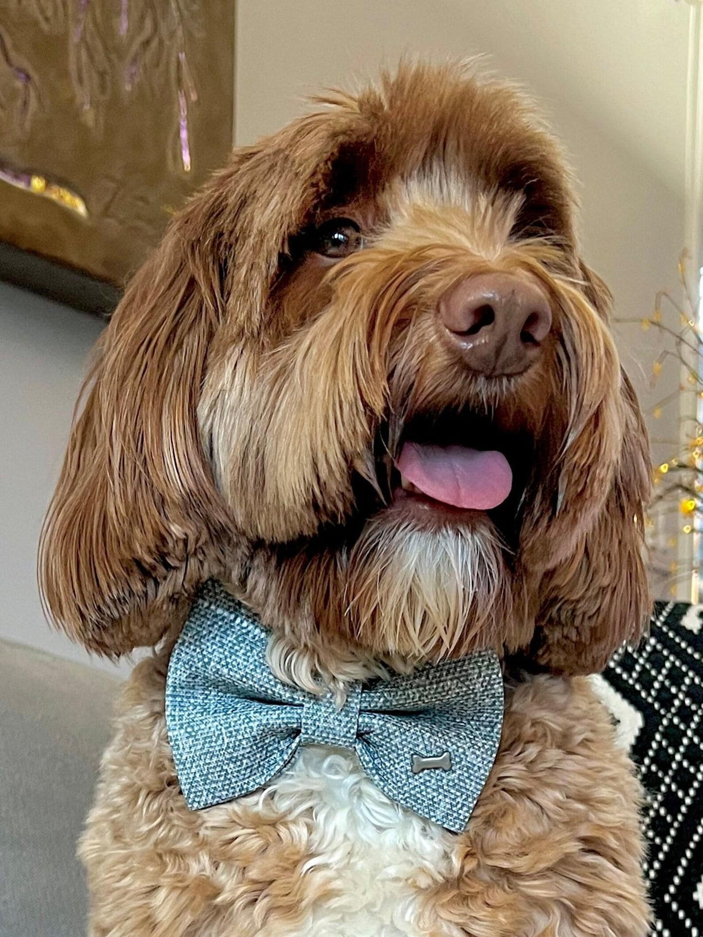 Dog Bow Tie, Bow Tie for Dog, Gray Dog Bow Tie, Doggie Bow Tie, Dog Bow Tie, Dog Accessory,  Puppy Bow Tie
