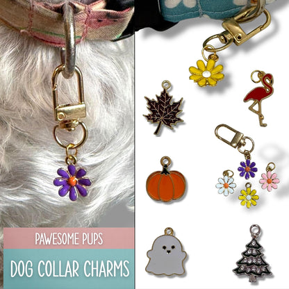 Dog collar with charms and a collection of various dog collar charms on a white background.