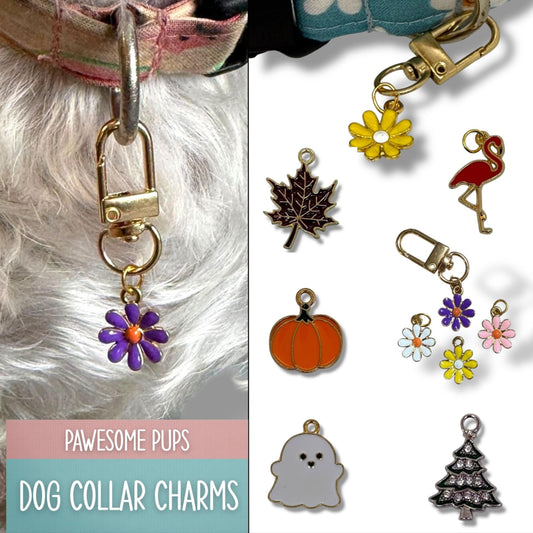Dog collar with charms and a collection of various dog collar charms on a white background.