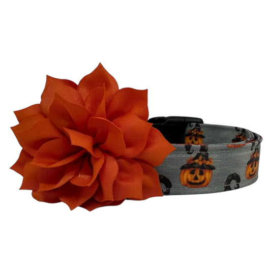 Halloween Dog Collar, Jack O Lantern Pumpkin Dog Collar with Flower, Pumpkin Dog Collar,  Collar for Halloween, Halloween Collar